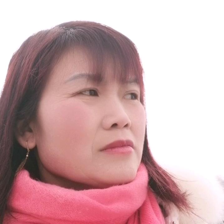 鸽子不会飞
