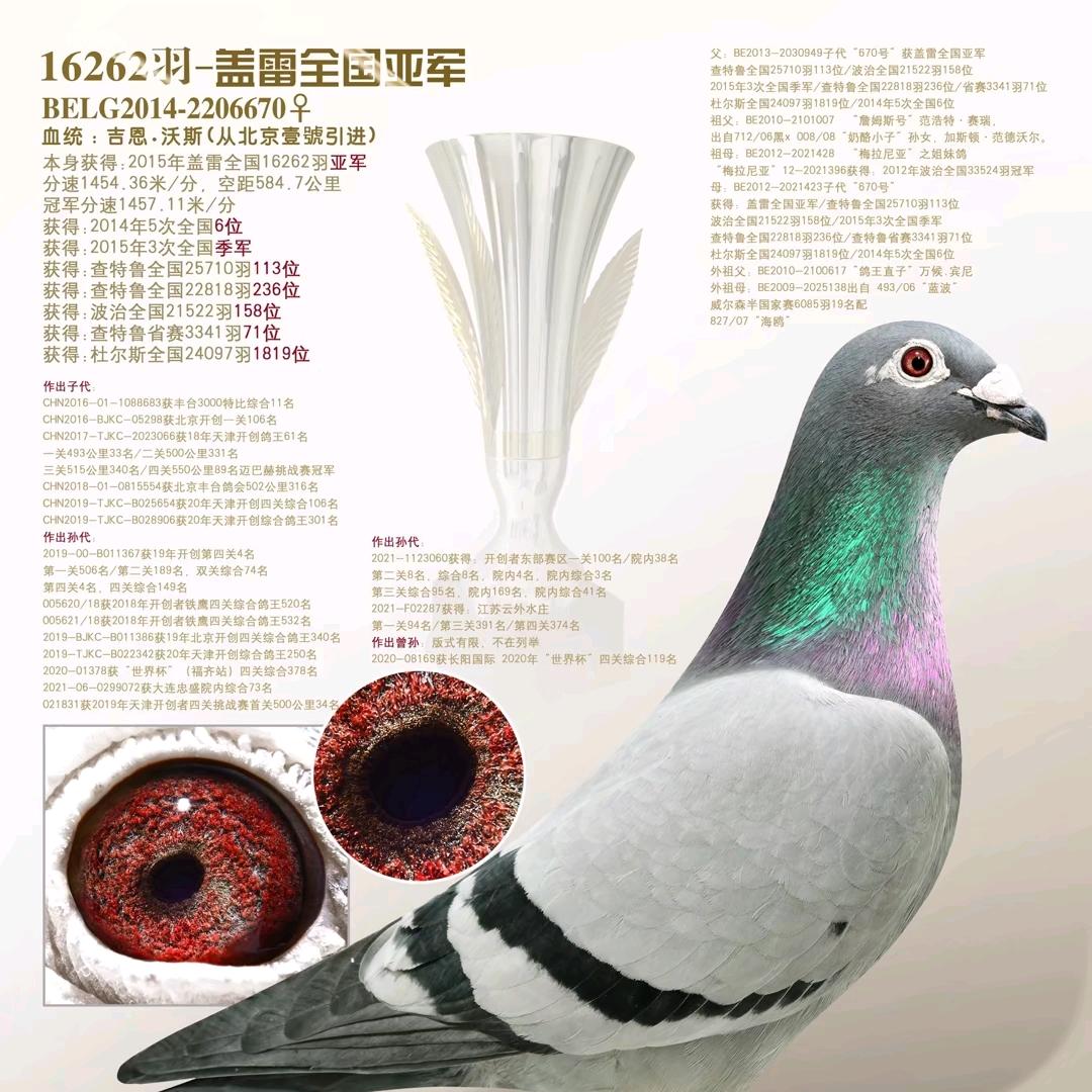 石林创翔