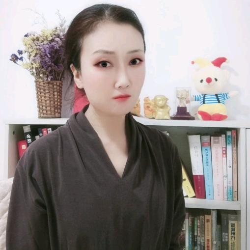 鸿雁GAO