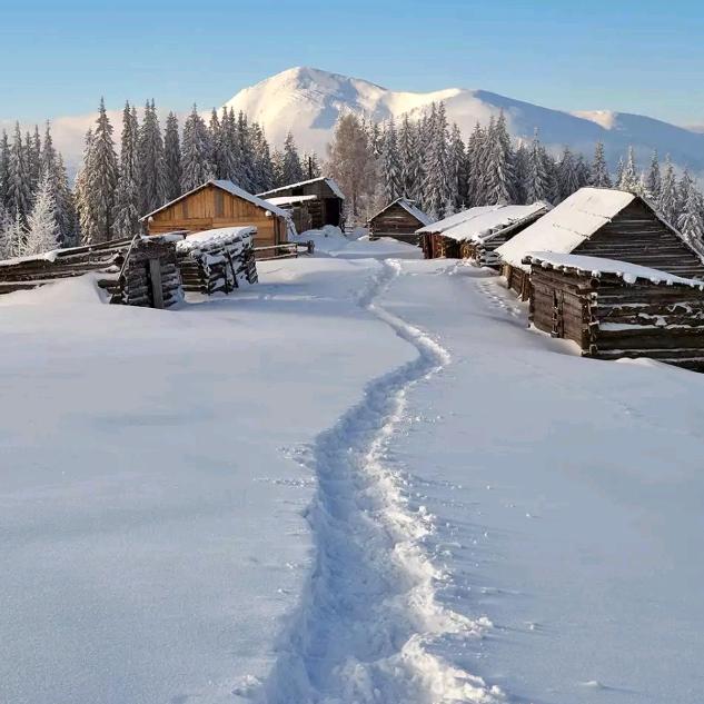 林海雪原