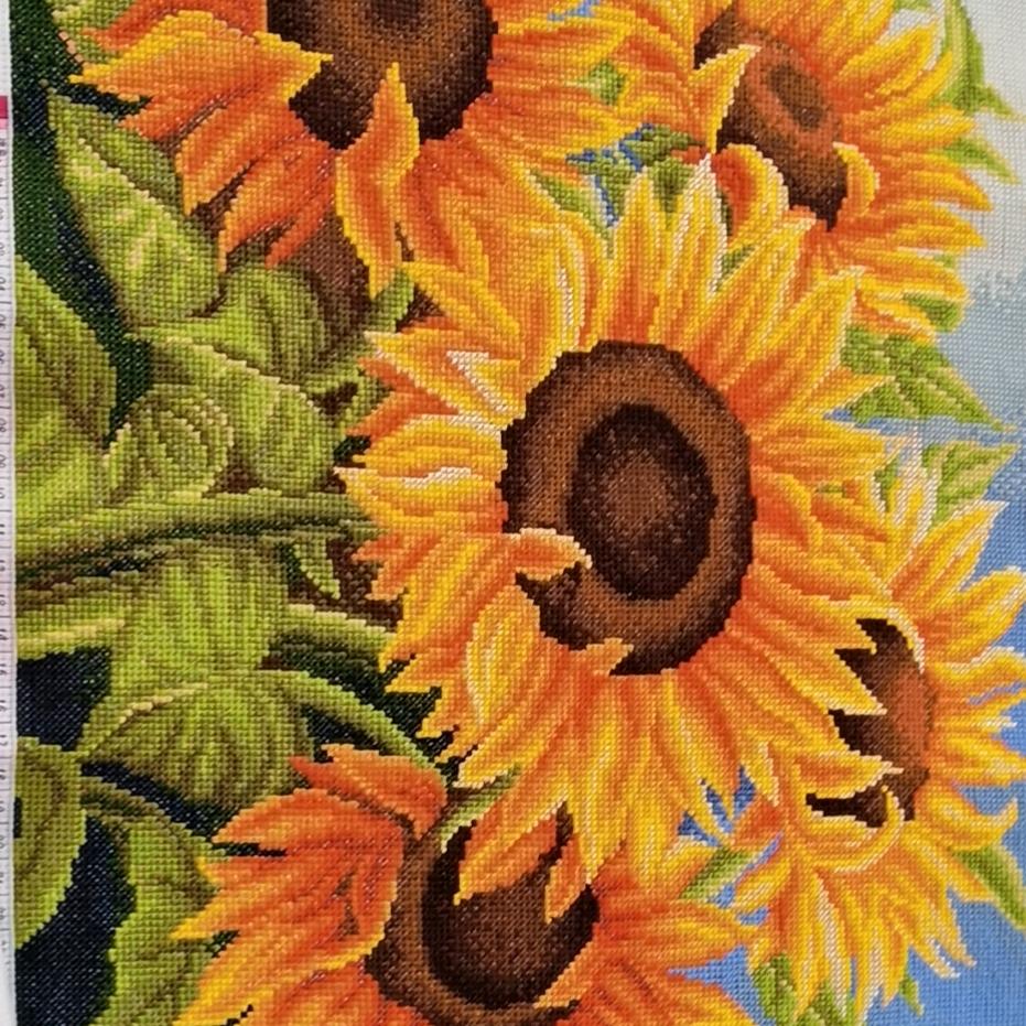 白手起家的安全感