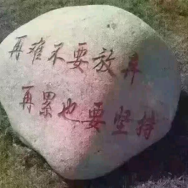 雨后才能见彩虹