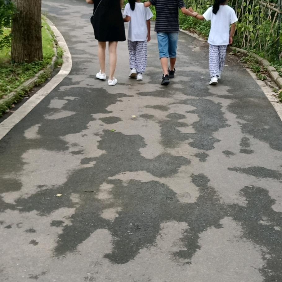 国之绿（收阳光玫瑰）