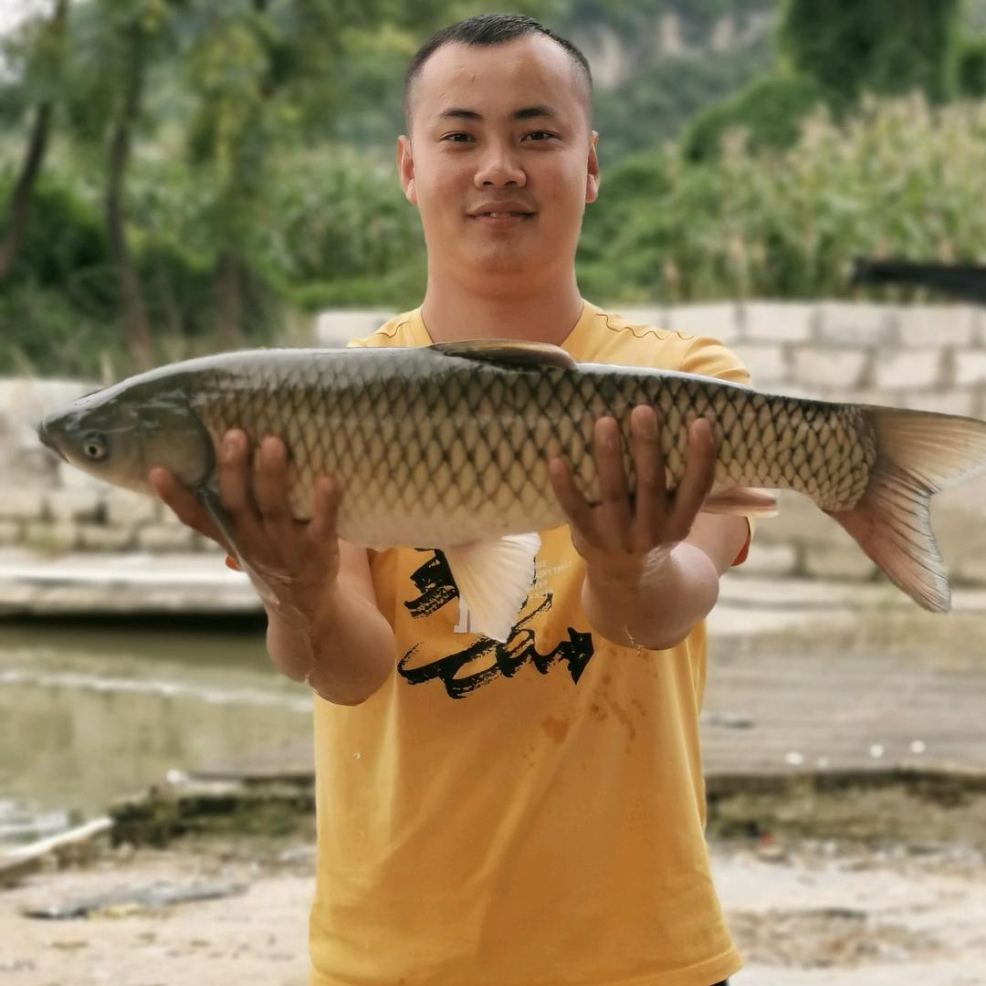 苏灿（隆安县渔哆哆钓具）