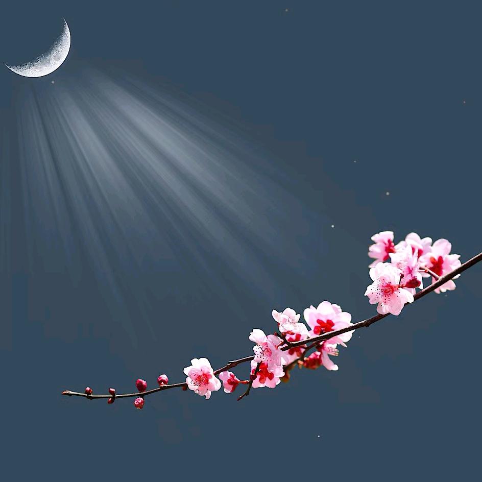涂抹一道月光