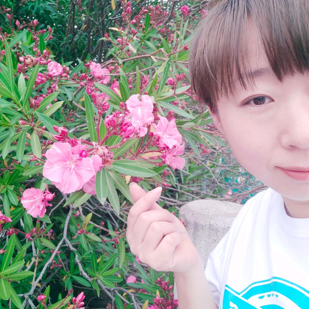 🌴小树苗🌴