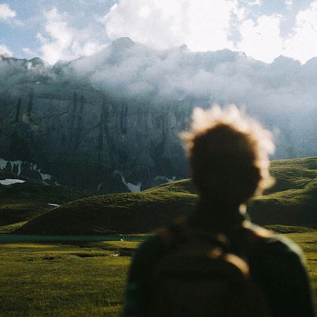 翻斗花园我姓牛🐮