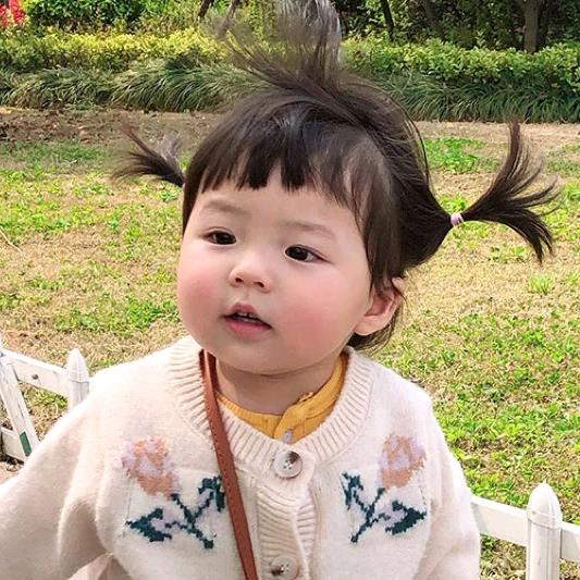 你d小贺🍭