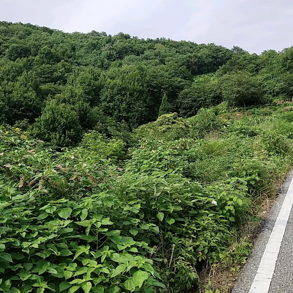 珍惜－
