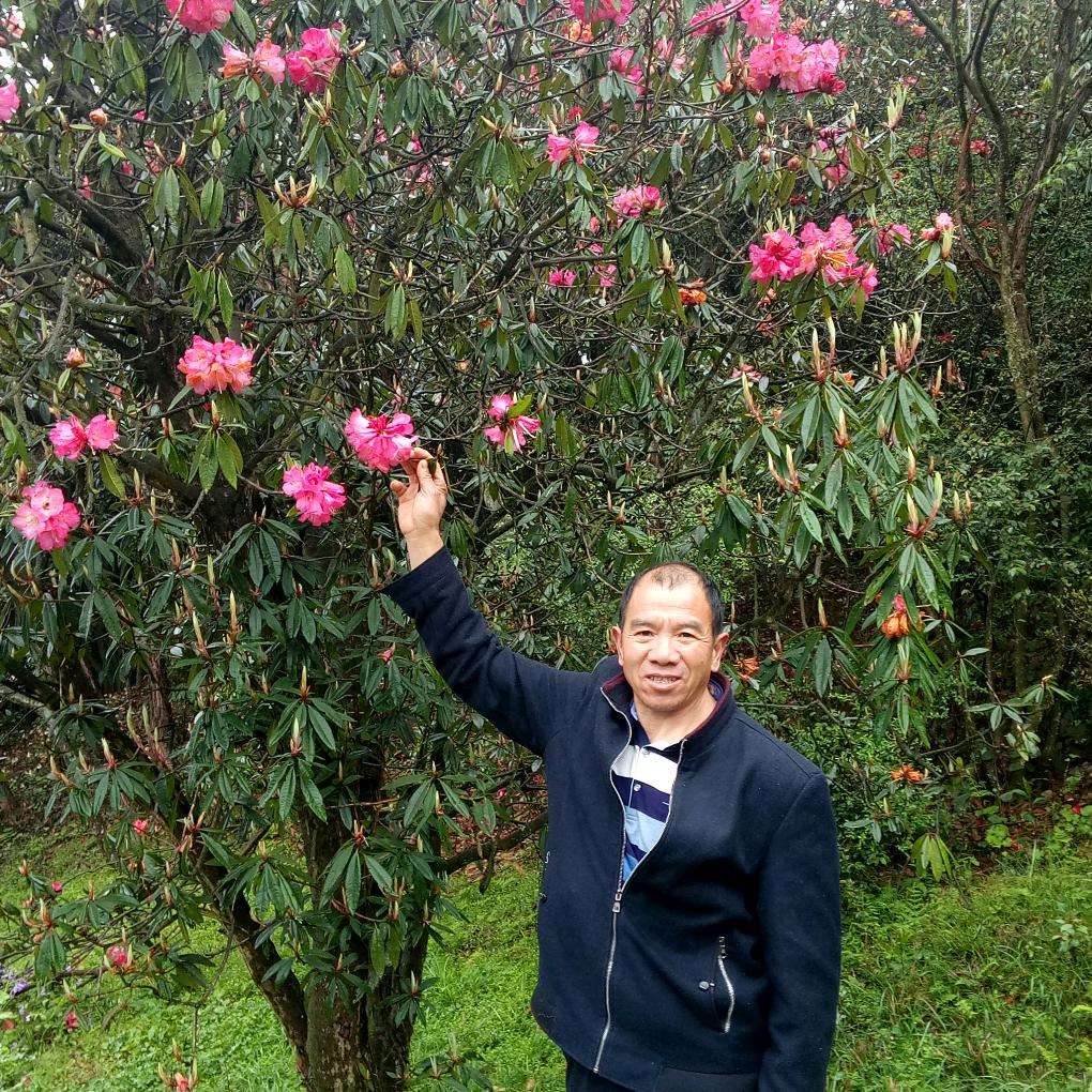 没烦恼，开心快乐！