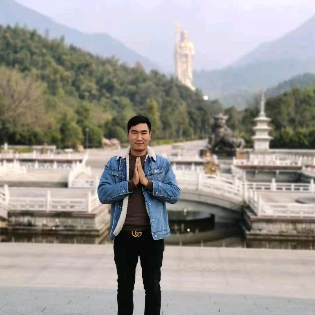 🐲🐲金龙🐉🐉