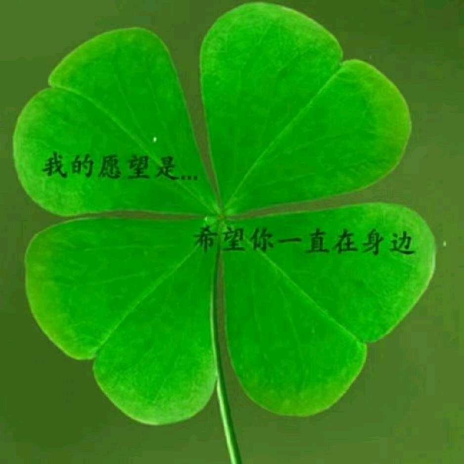 唐哥