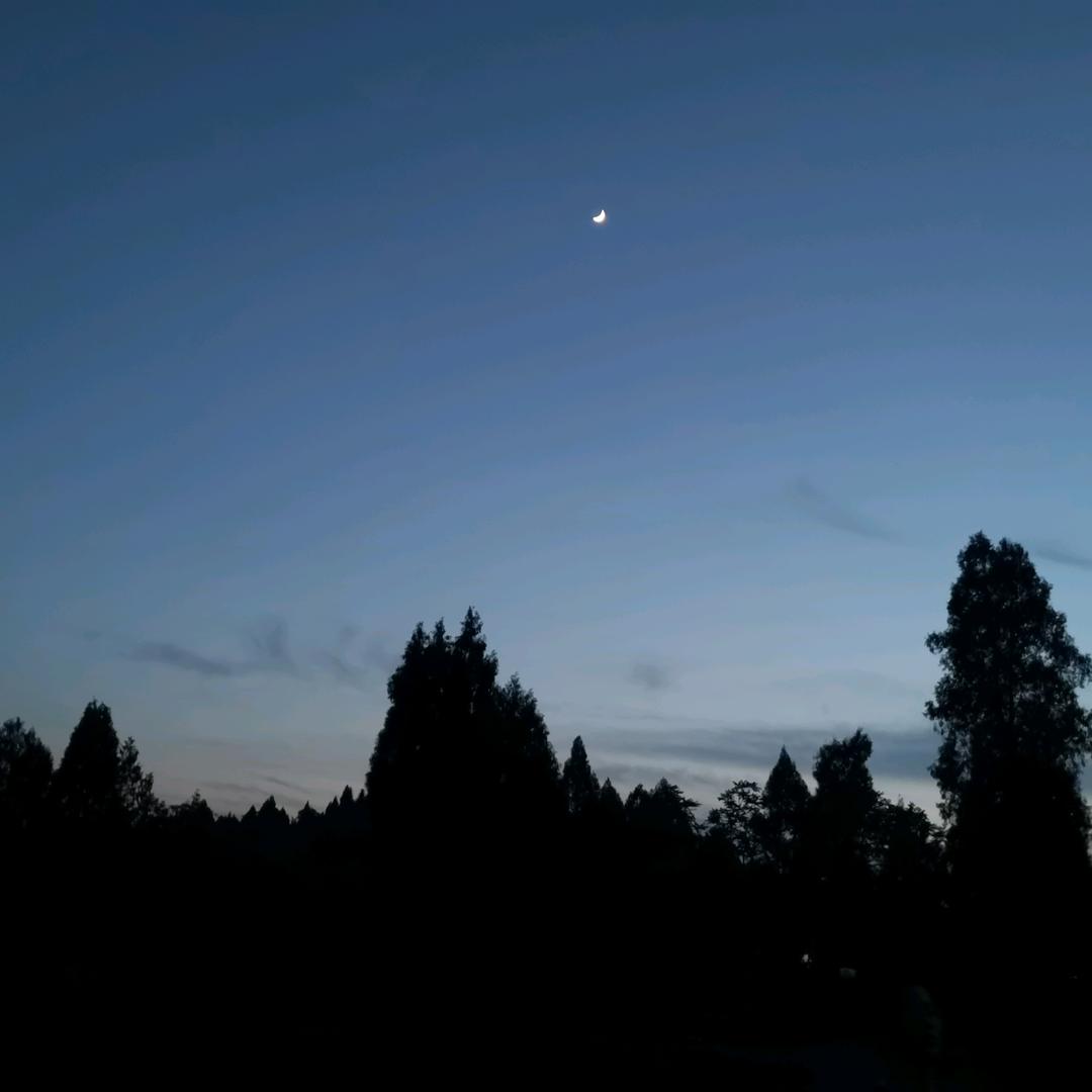 扬马啸东风