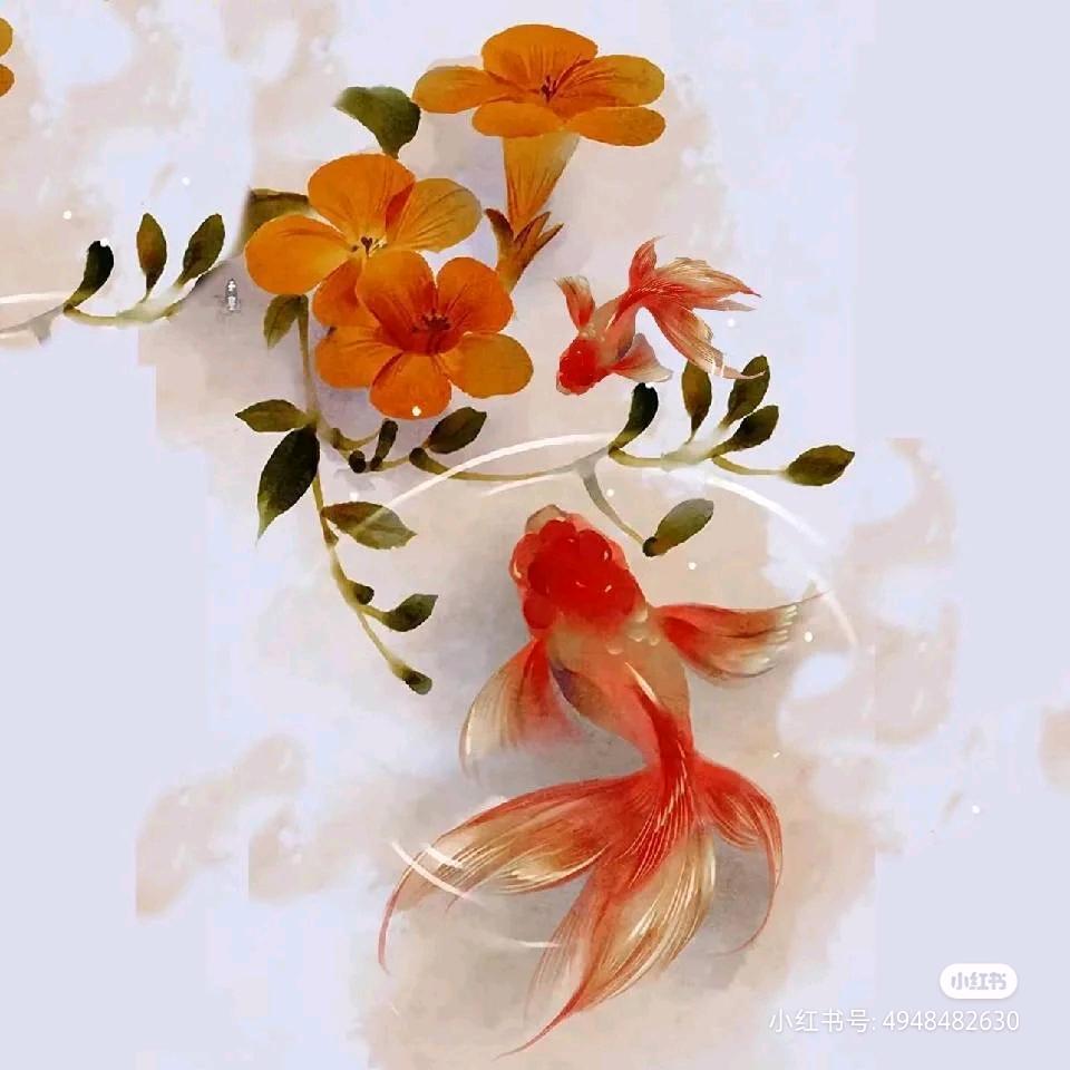 l红红