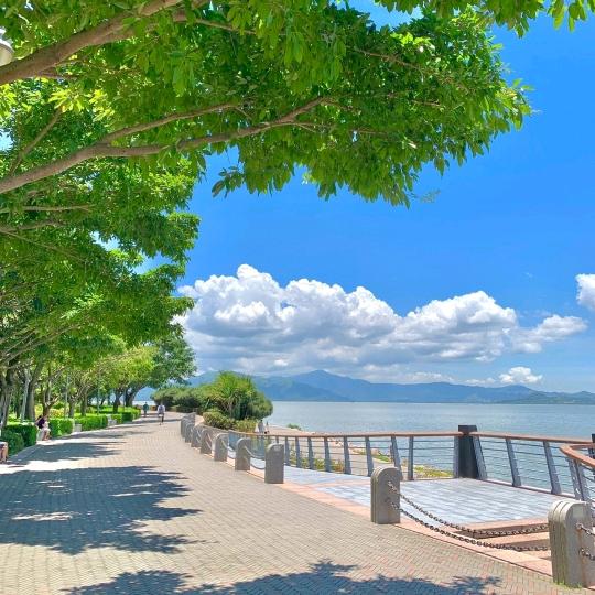 爱吃辣条的小仙女儿