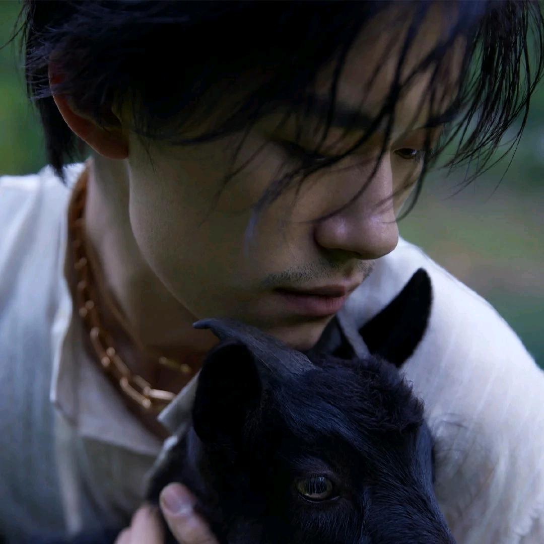 橘子味酸奶可乐