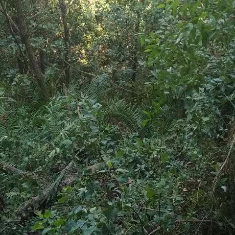 世界那么大，没有栖身之地