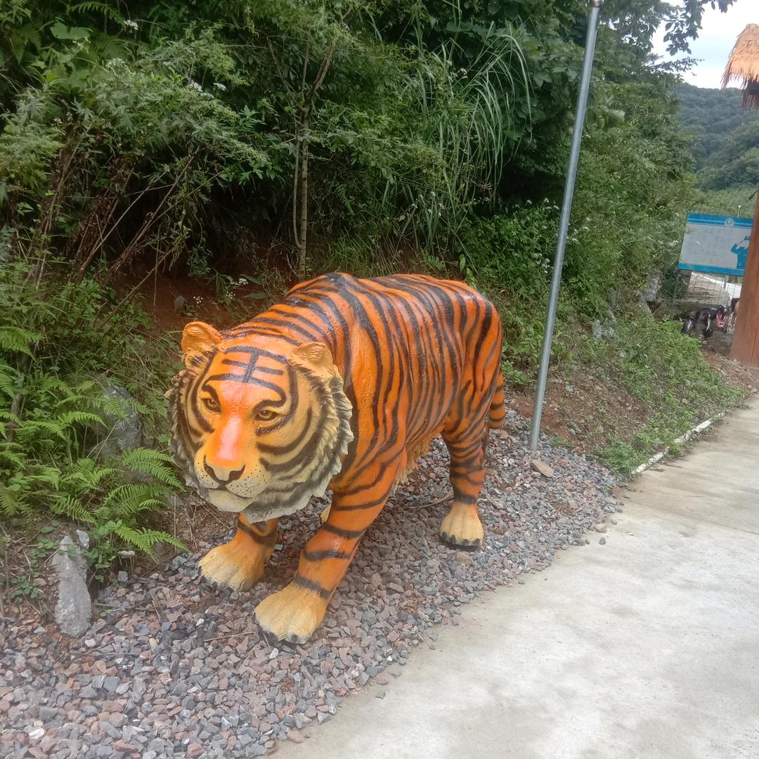 四季夕阳