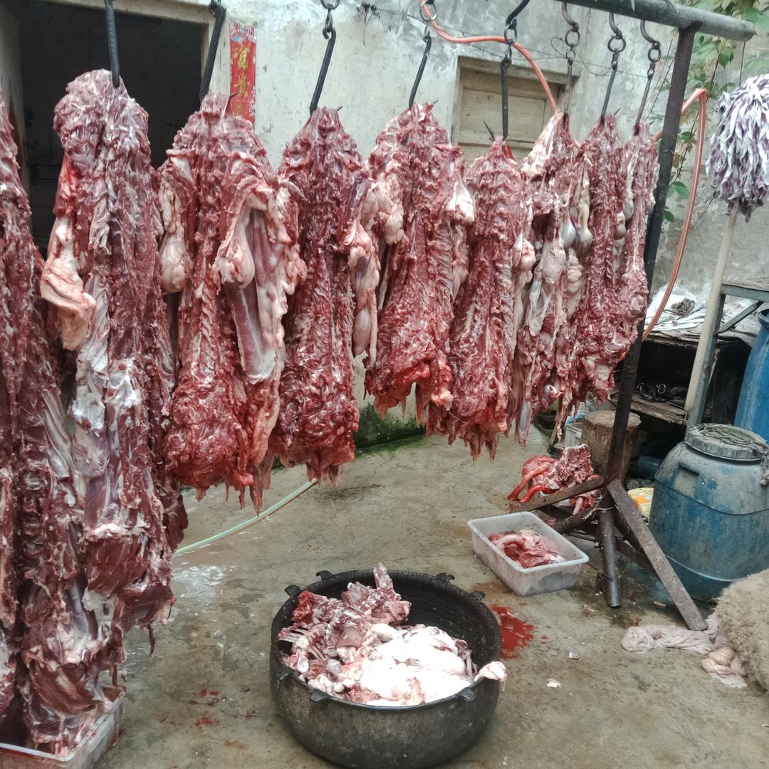 好人一生平安羊肉大全