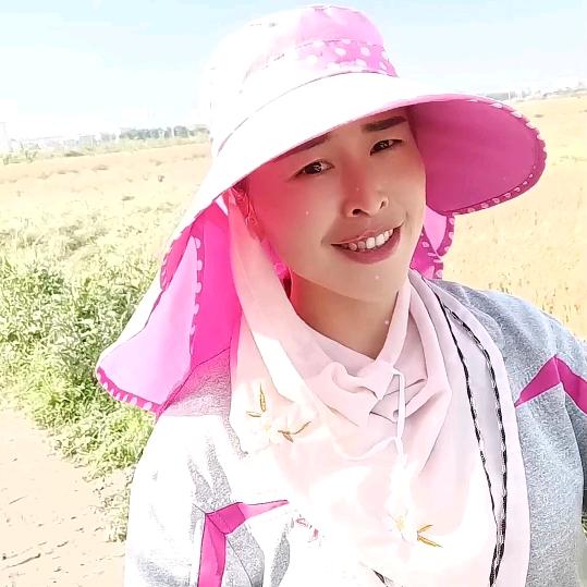 收割机小陈（小号）