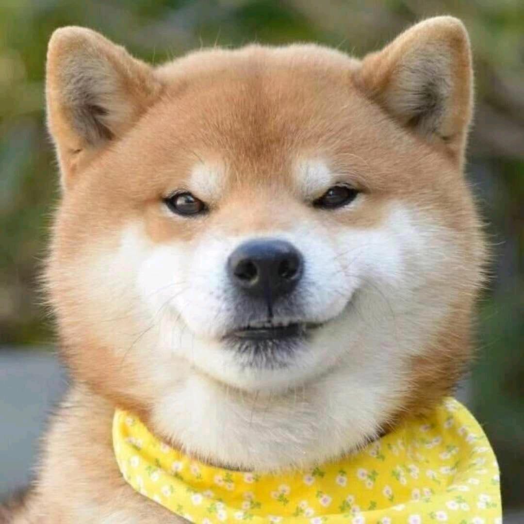 劲航锂电牛马销售
