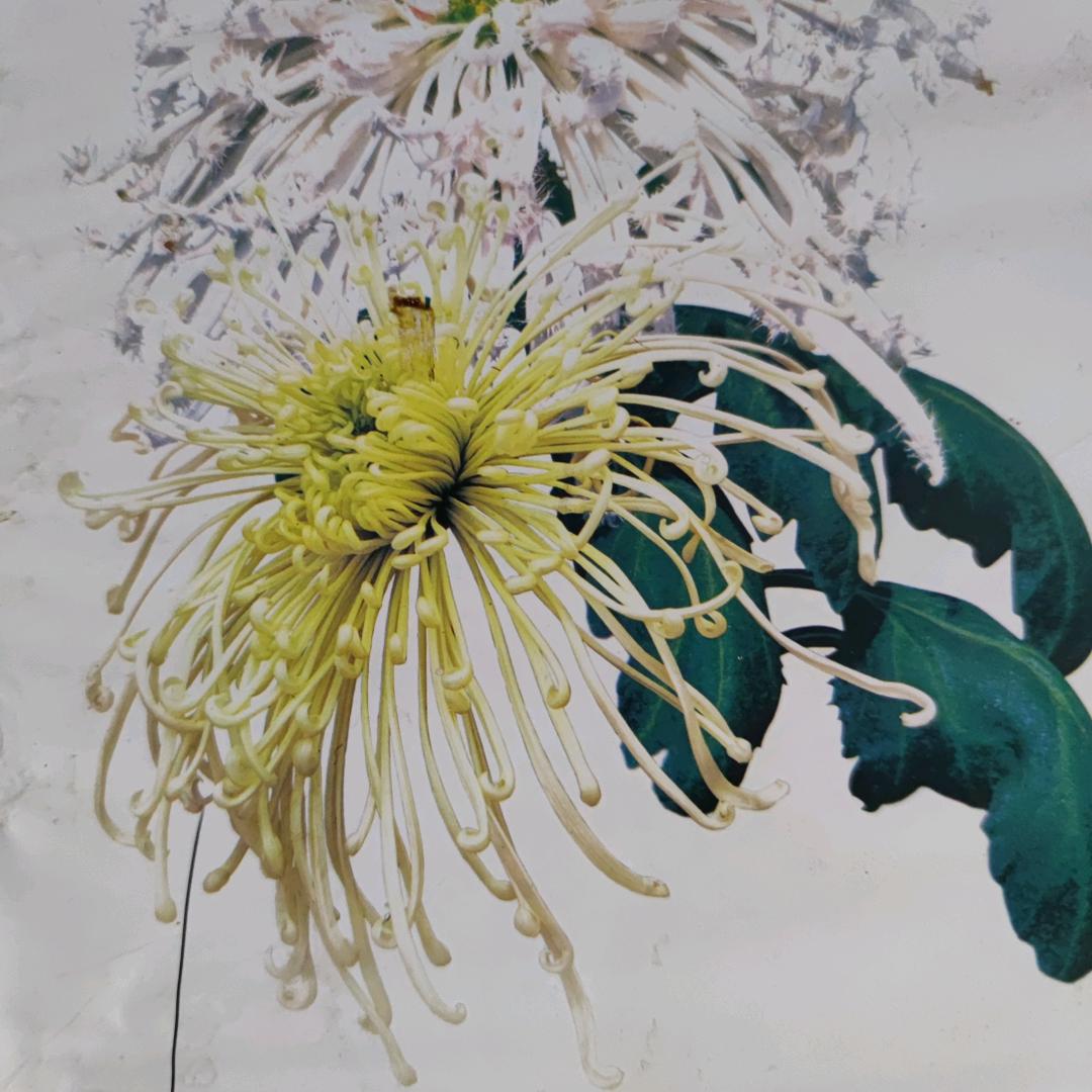 用户幸福的家3901774514196