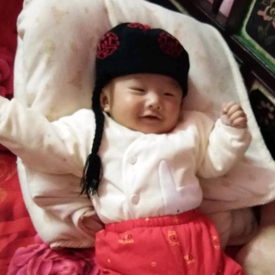 阳光下的花朵
