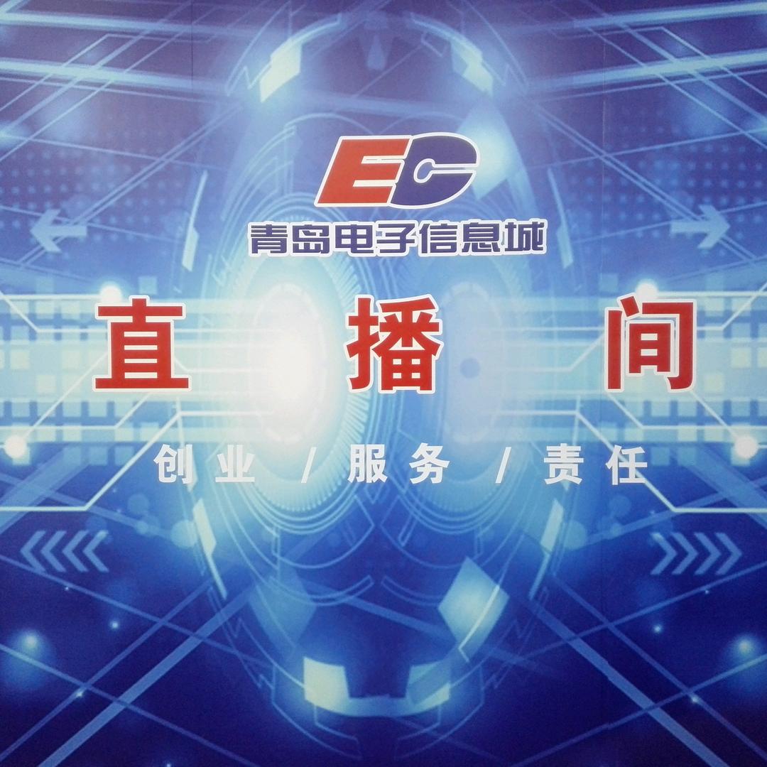 青岛电子信息城直播平台