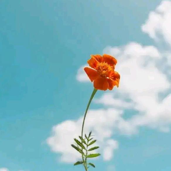 在水一方