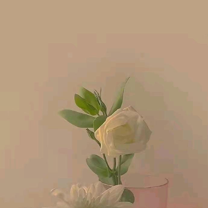 🌸花