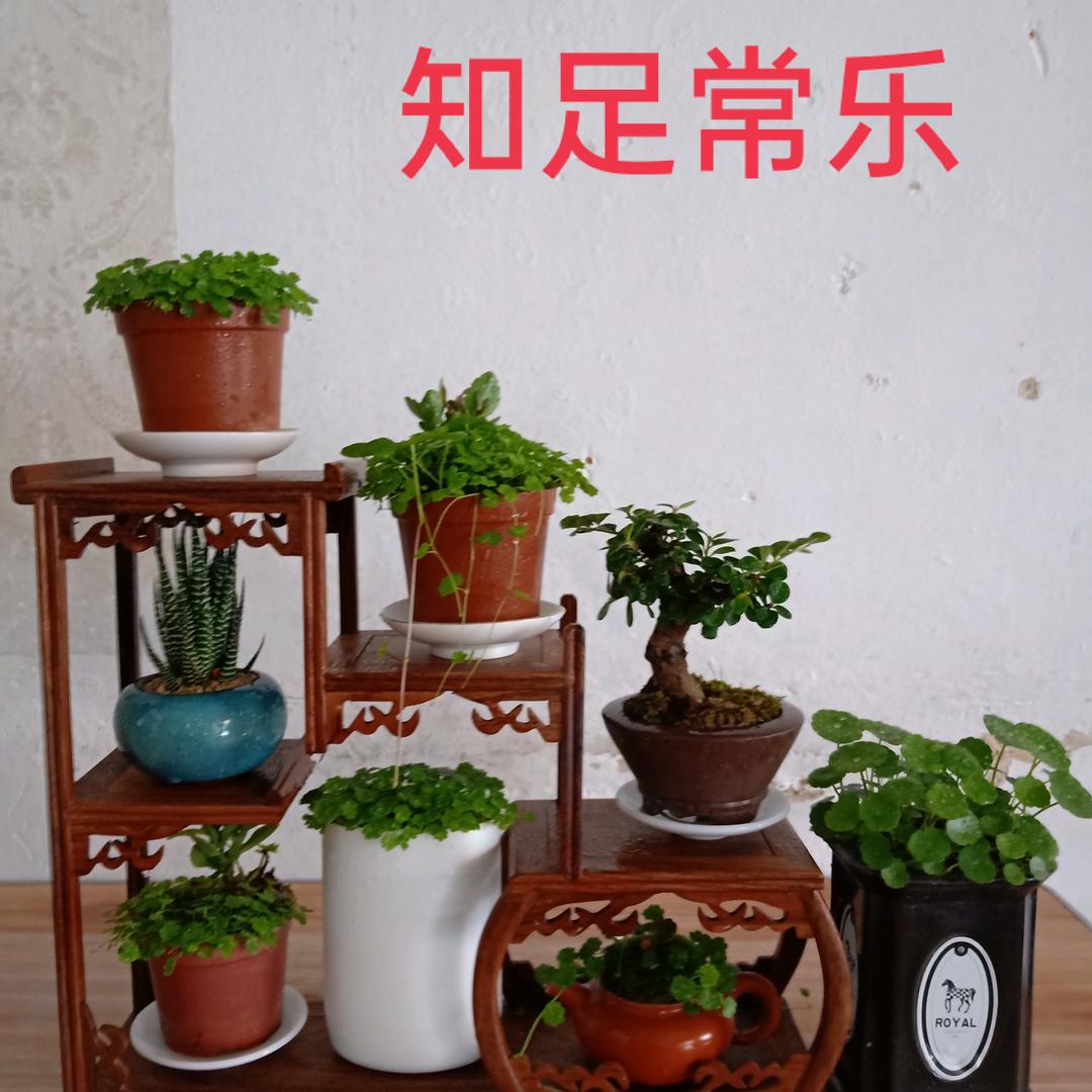 再创辉煌