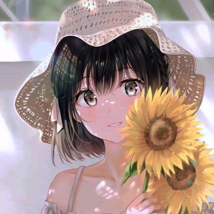 风铃姐（暂停学习）