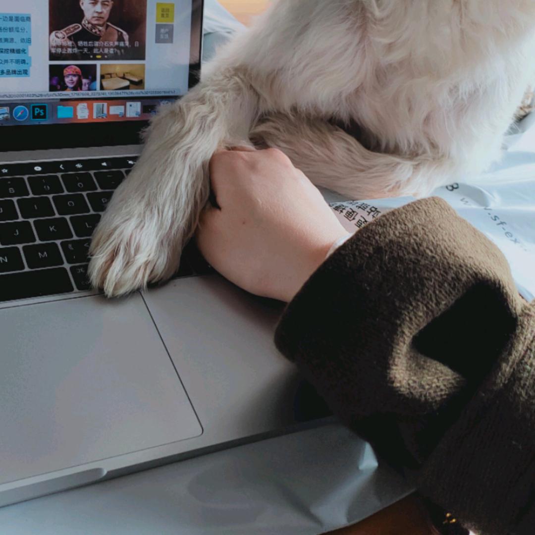 我有一只流量量呀（剁手👋）