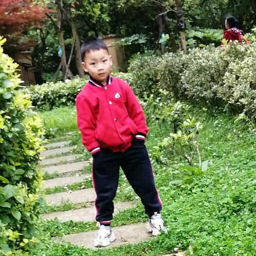 八宝粥