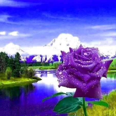 淑花