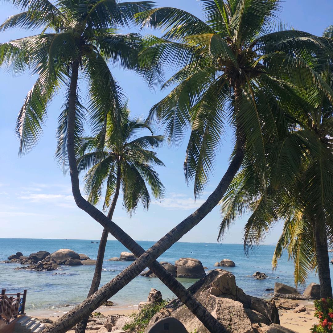 🌈🌈🌈特惠票务🌸🌟✨