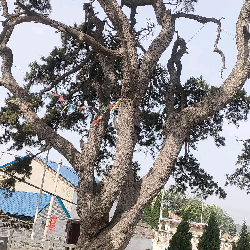 知足常乐