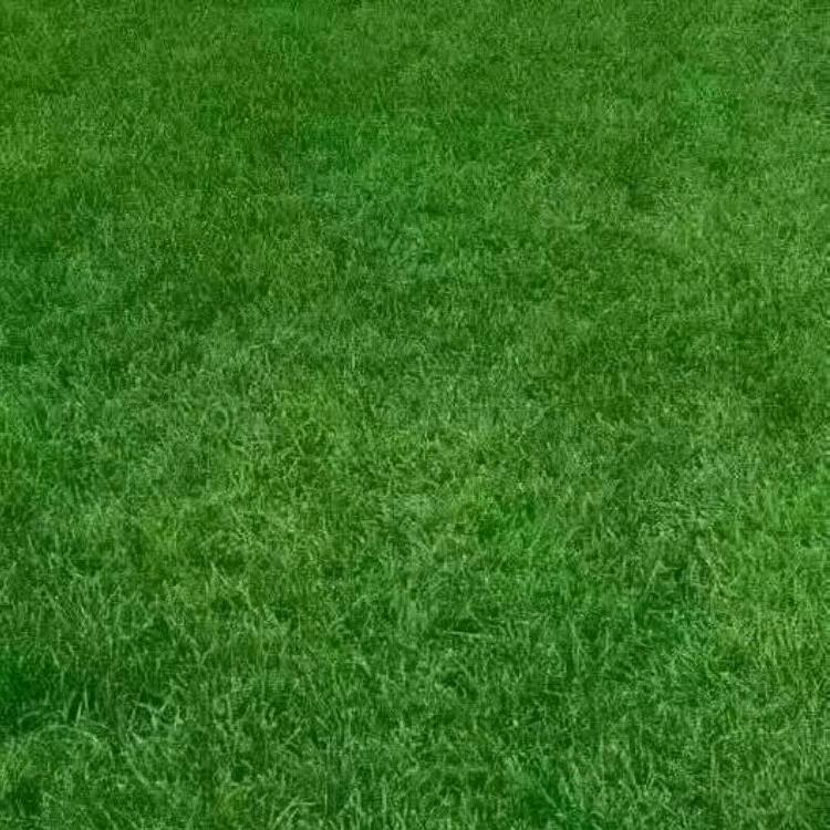 我爱你静静