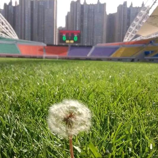 哈尔滨国际会展体育中心