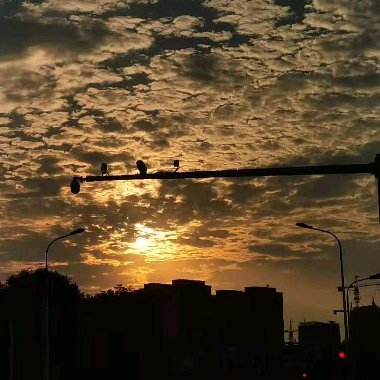 挽月🌙