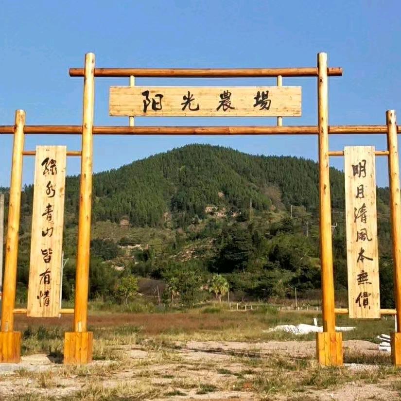 阳光农场