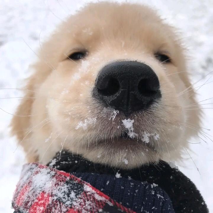 别太当真