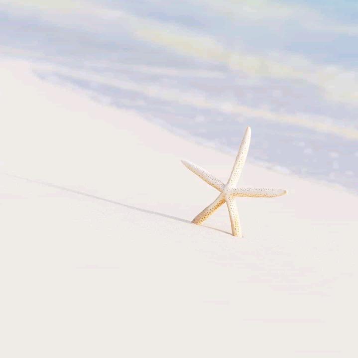 美丽的人