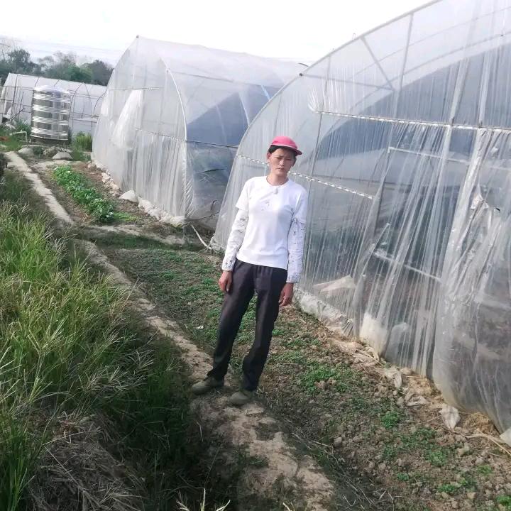 苏春林