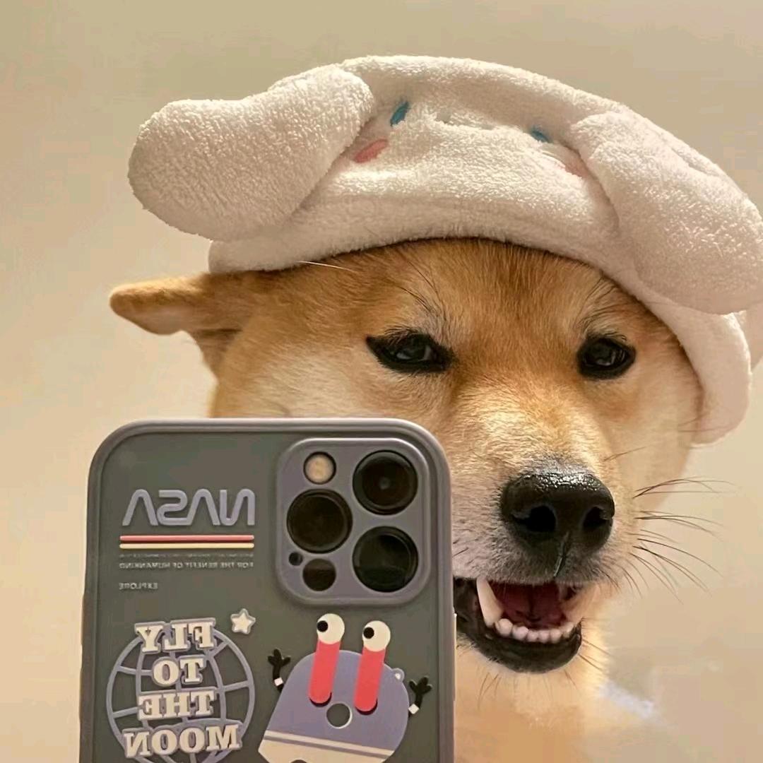 顾柒