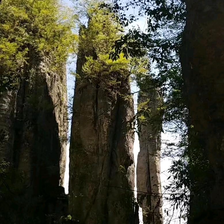 安静的夏天