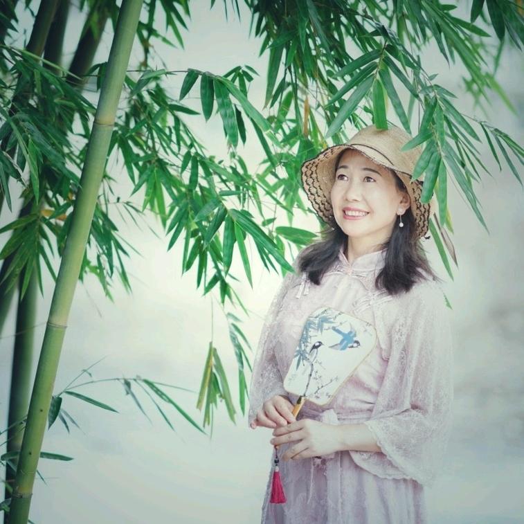 杨会会