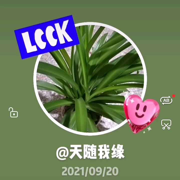天随我缘