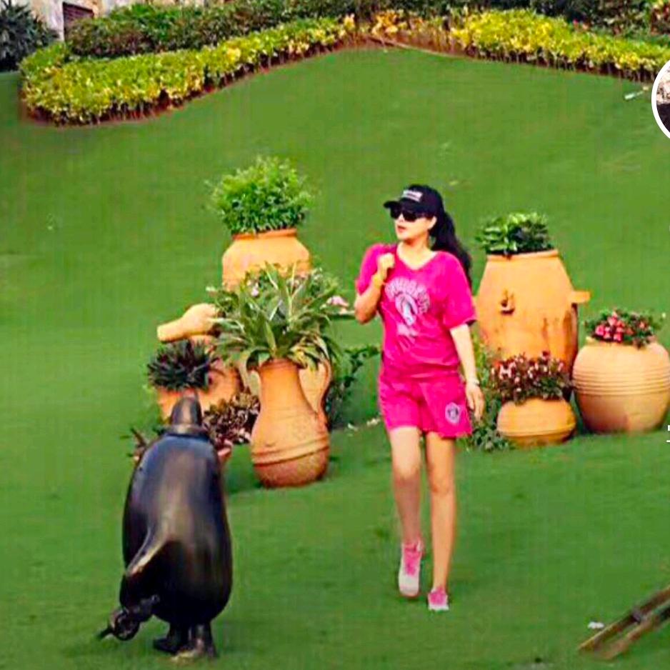 香梦地💍鸿玺～六福（拒私聊）