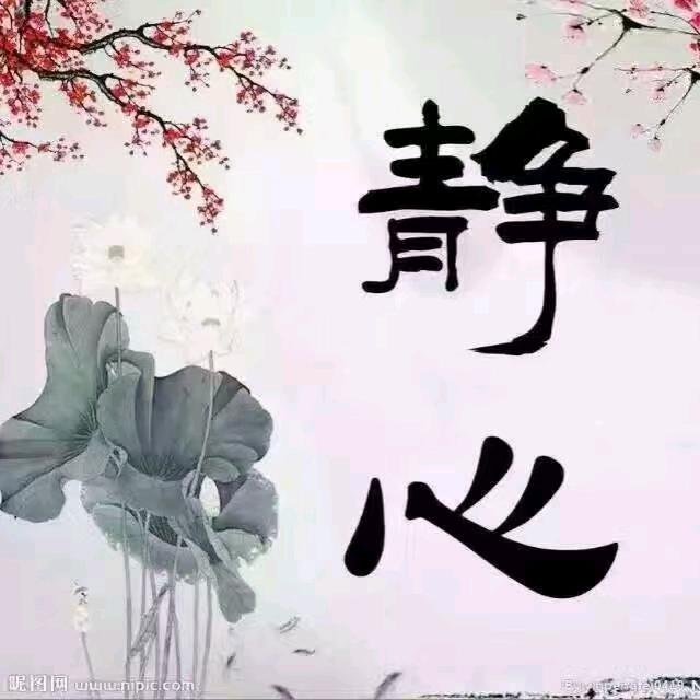 小毛毛雨